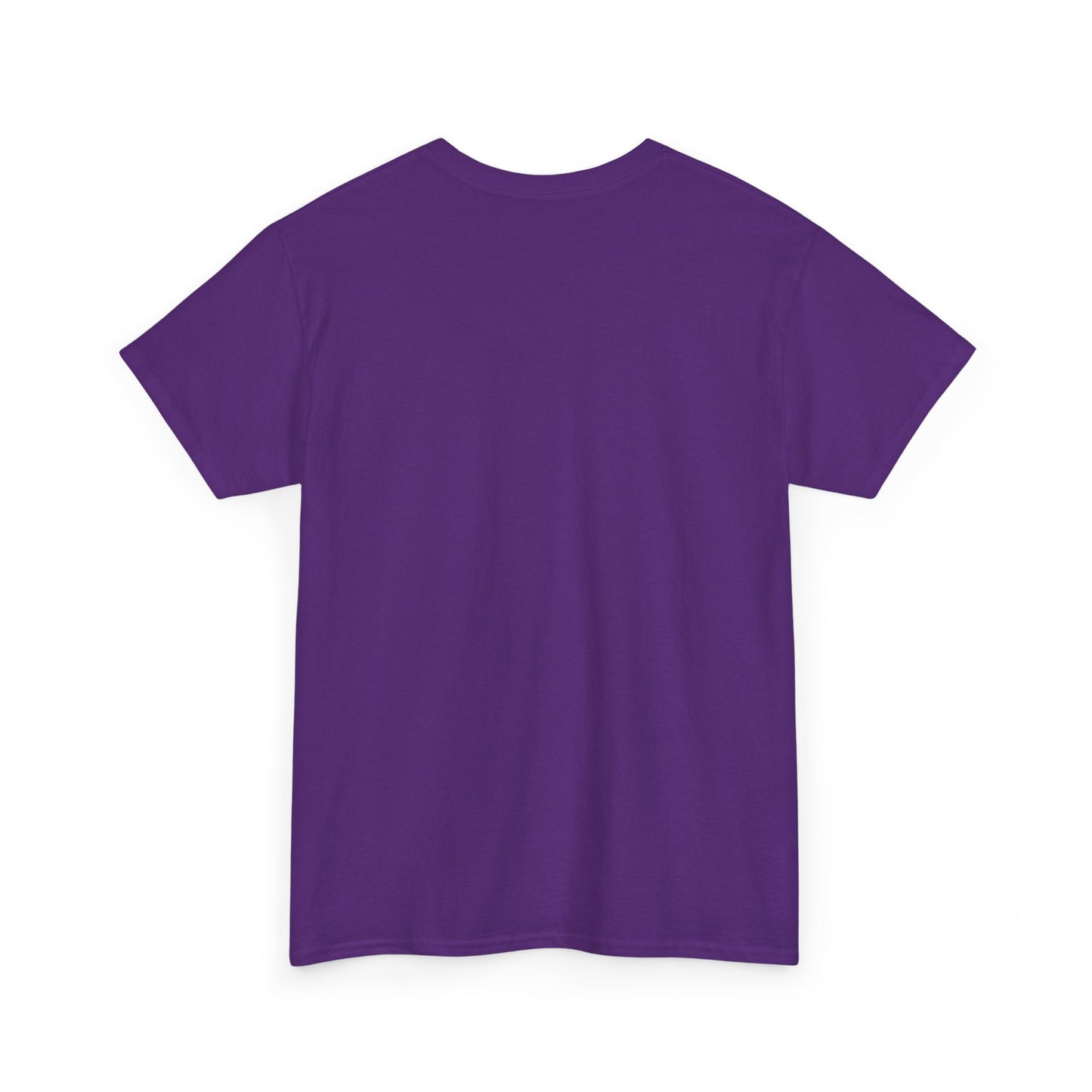Juneteenth Freedom Flag T Shirt
